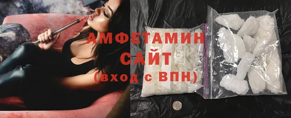 индика Дмитров