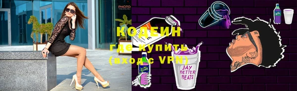 индика Дмитров