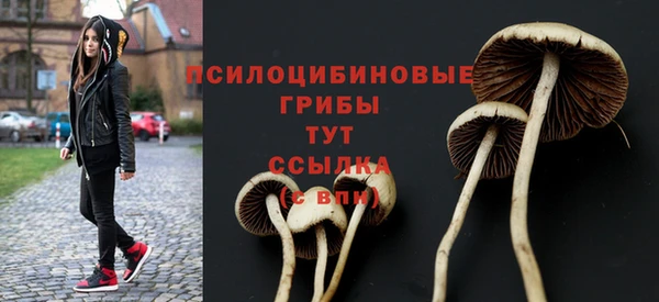 дмт Дмитриев