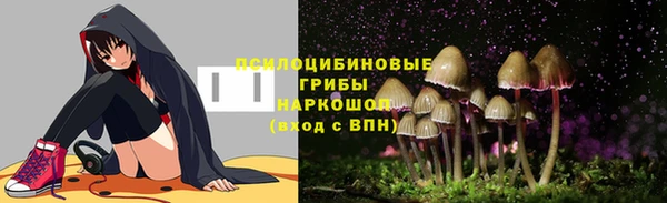 a pvp Гусиноозёрск