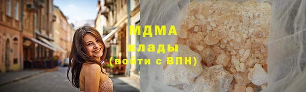 индика Дмитров