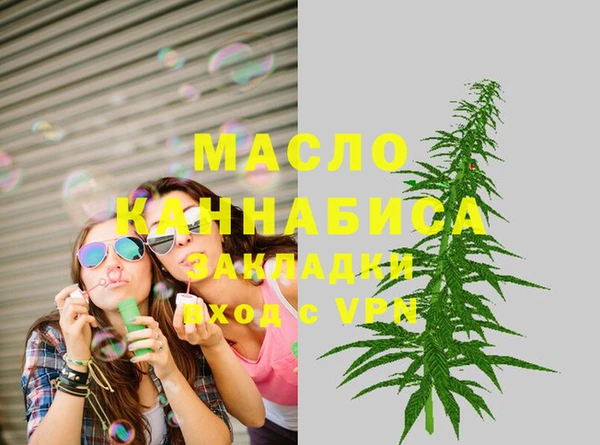 индика Дмитров