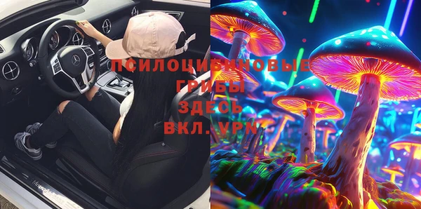 индика Дмитров