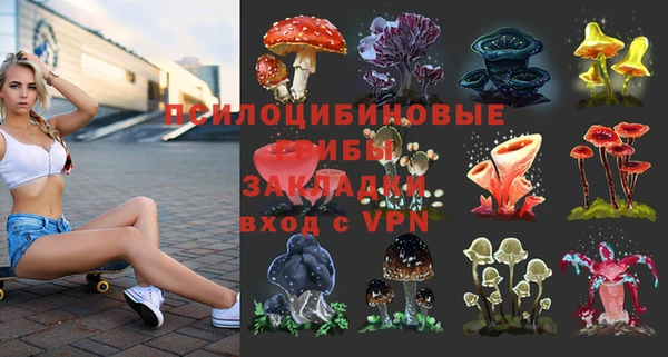 гидропоника Гусь-Хрустальный