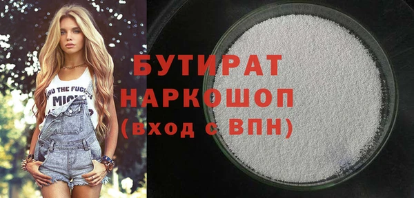 индика Дмитров