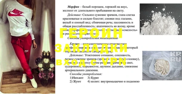гидропоника Гусь-Хрустальный