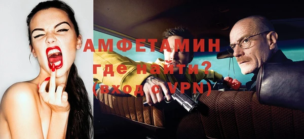 индика Дмитров