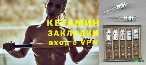 индика Дмитров