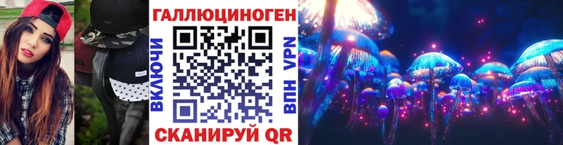 Галлюциногенные грибы Psilocybe  Сковородино 